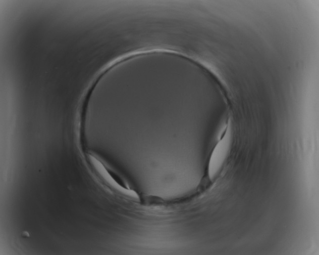 X0000088471508200706191338