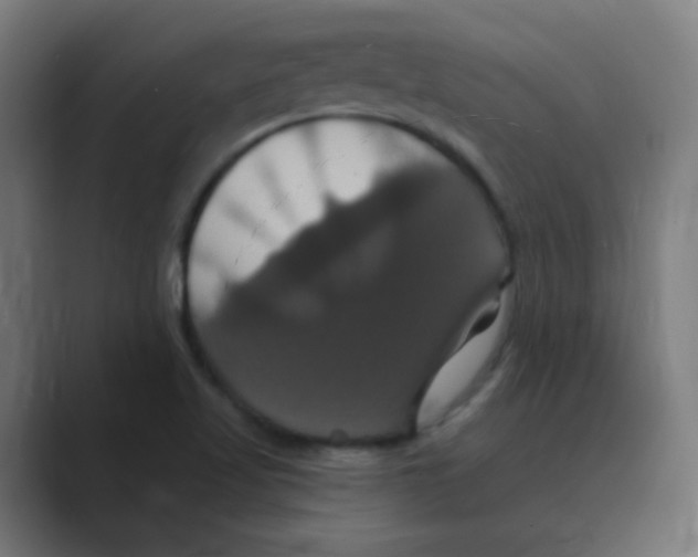 X0000088471509200706191338