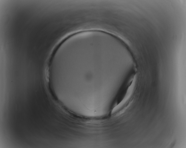 X0000088471510200706191338