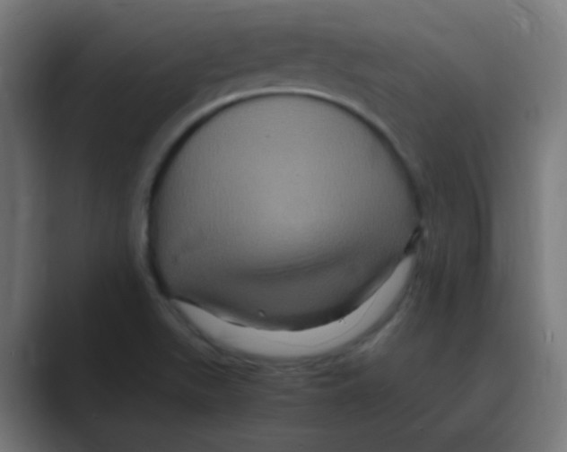 X0000088471511200706191338