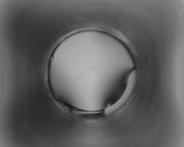 X0000088471512200706191338