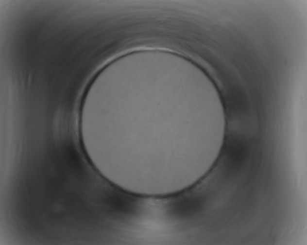 X0000088471514200706191338