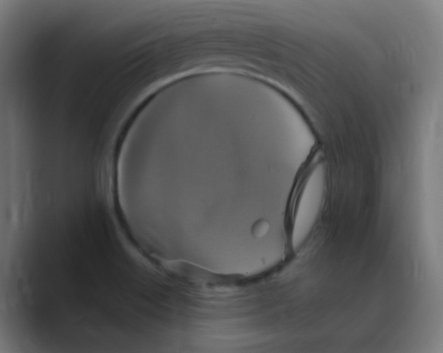 X0000088471515200706191338