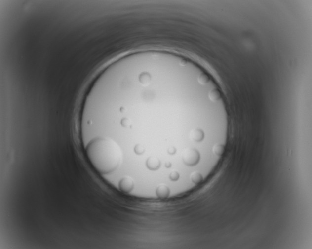 X0000088471517200706191338