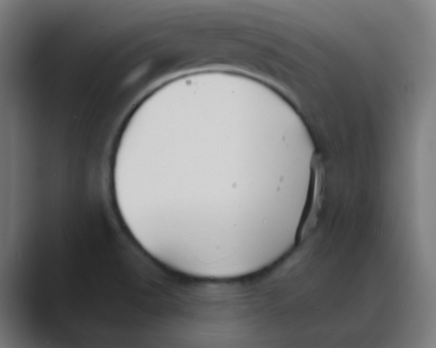 X0000088471518200706191338