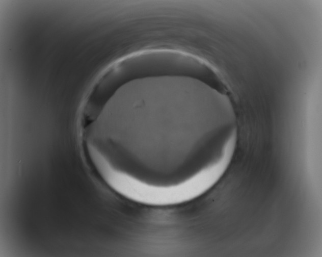 X0000088471519200706191338