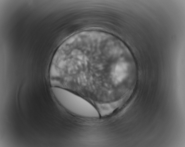 X0000088471521200706191338