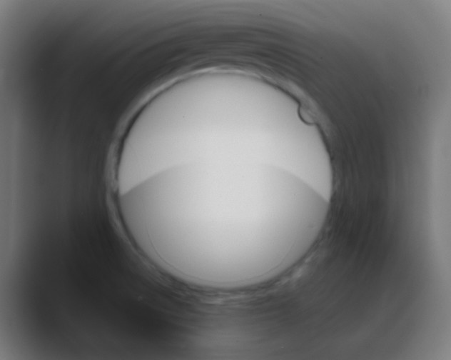 X0000088471522200706191338