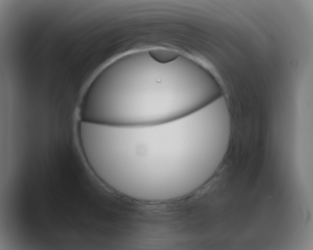 X0000088471524200706191338