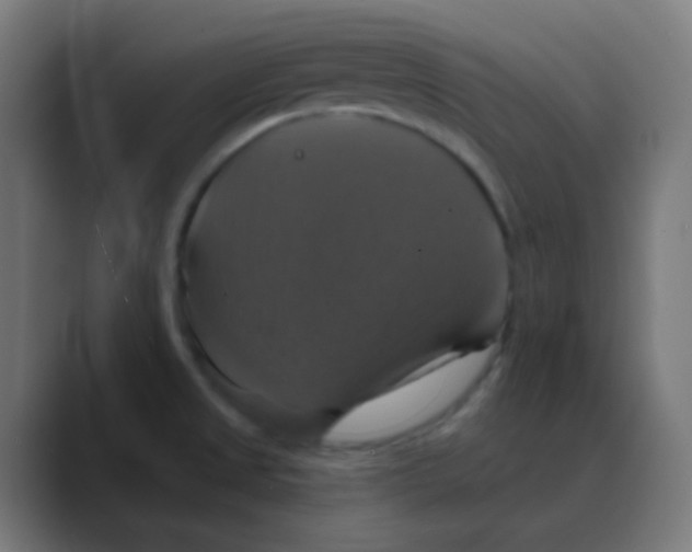 X0000088471525200706191338