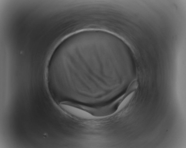 X0000088471527200706191338