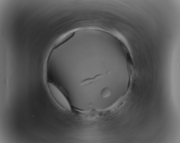 X0000088471528200706191338