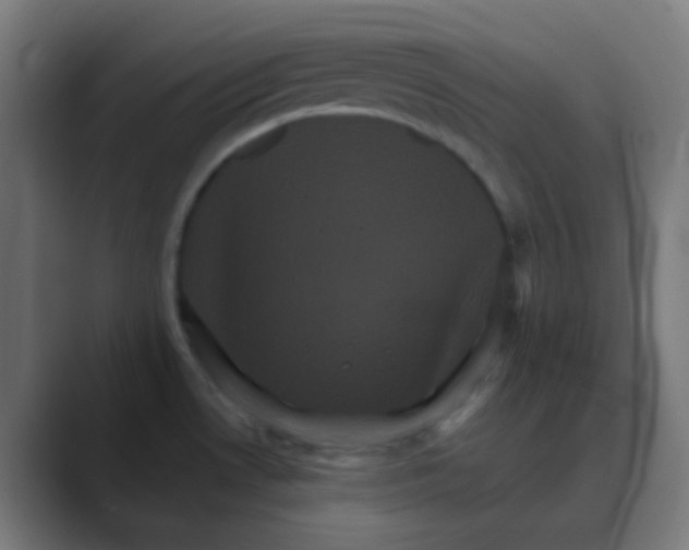 X0000088471530200706191338