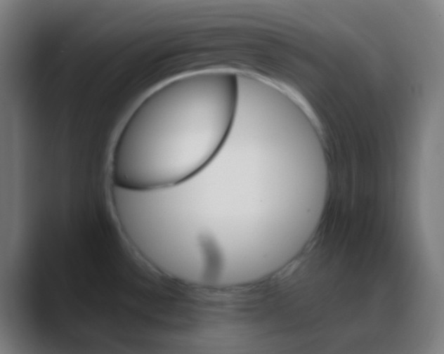 X0000088471532200706191338