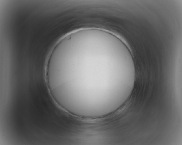 X0000088471535200706191338