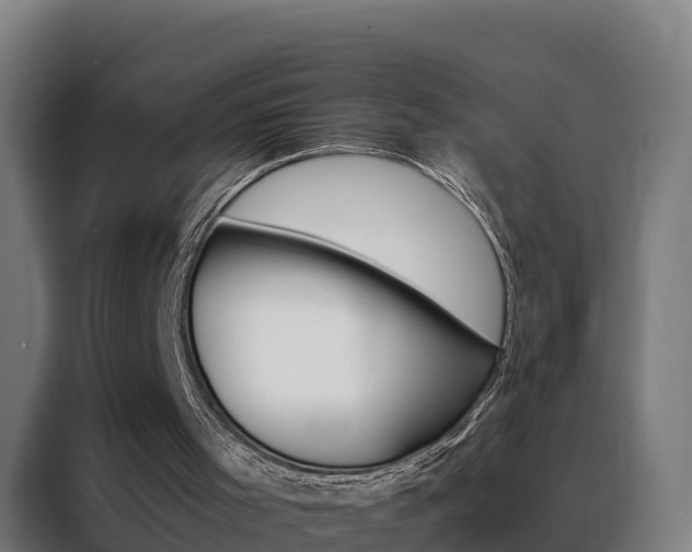 X0000088480001200705221011
