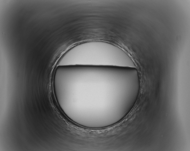 X0000088480002200705221011