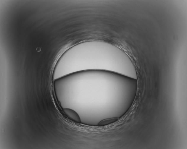 X0000088480003200705221011