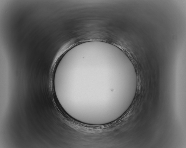 X0000088480004200705221011