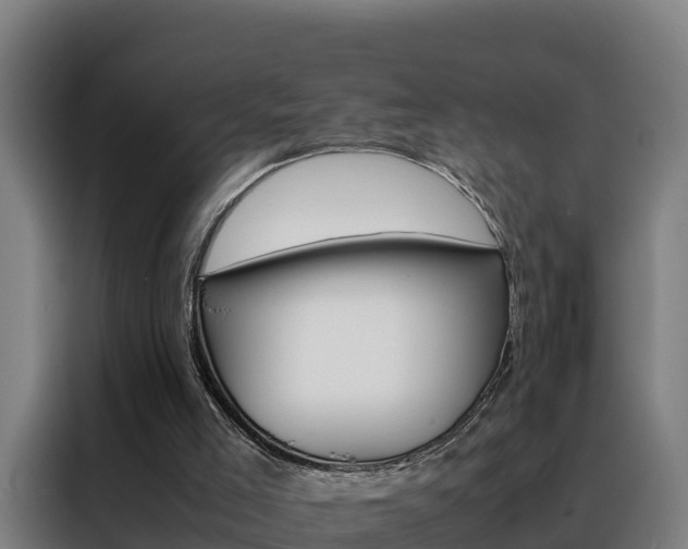 X0000088480005200705221011