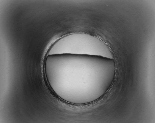 X0000088480006200705221011
