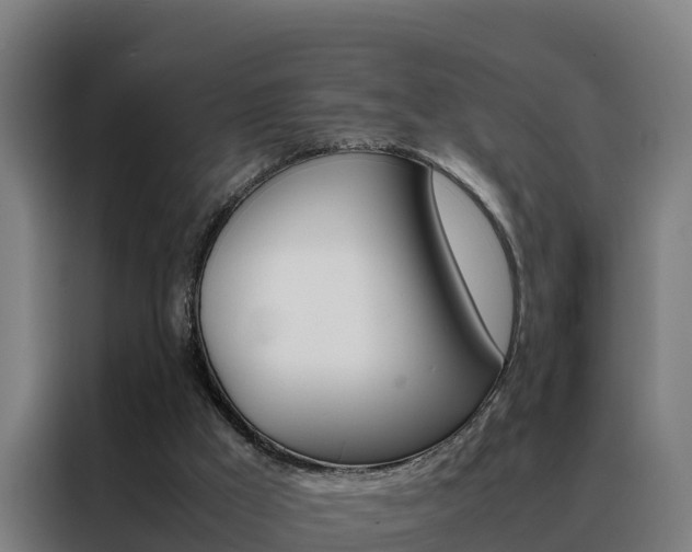 X0000088480009200705221011