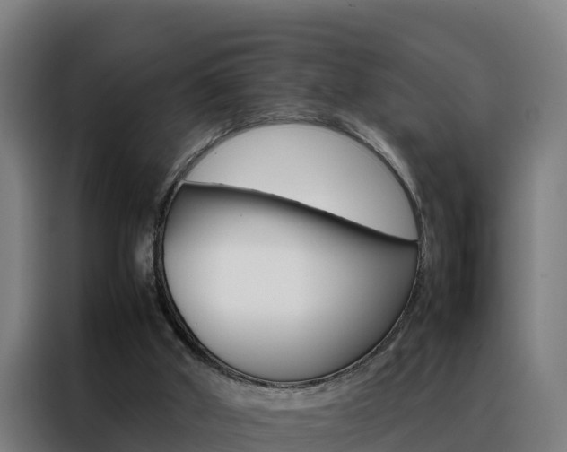 X0000088480010200705221011