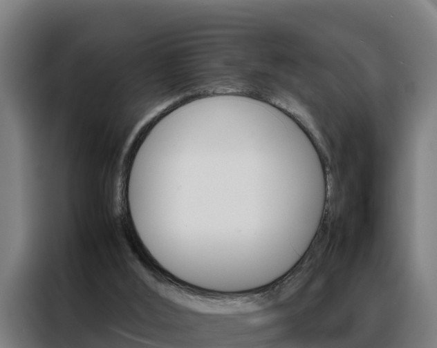 X0000088480012200705221011