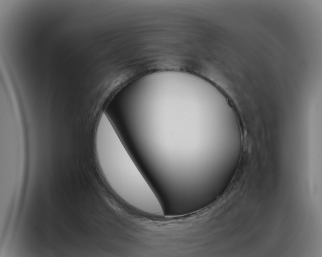X0000088480013200705221011