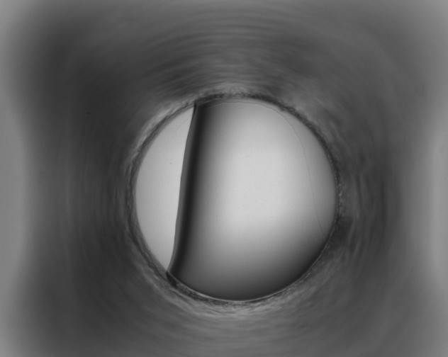 X0000088480015200705221011