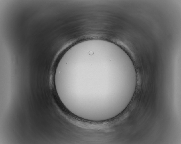 X0000088480016200705221011