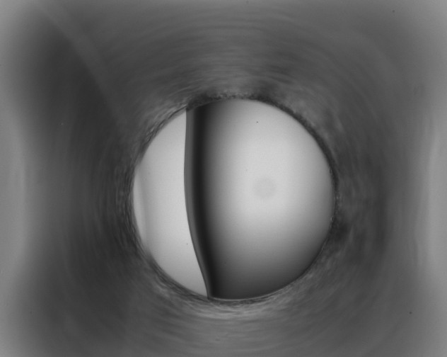 X0000088480017200705221011