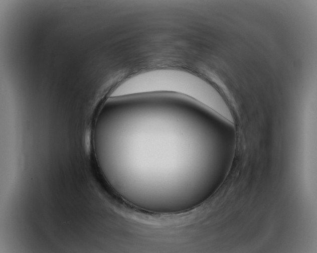 X0000088480019200705221011