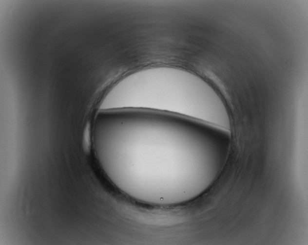 X0000088480020200705221011