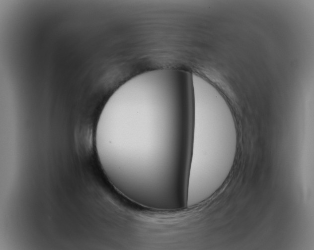 X0000088480021200705221010