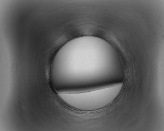 X0000088480023200705221010