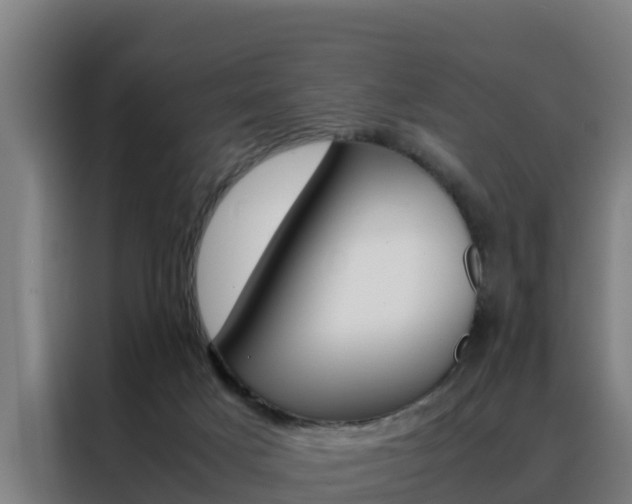 X0000088480025200705221010
