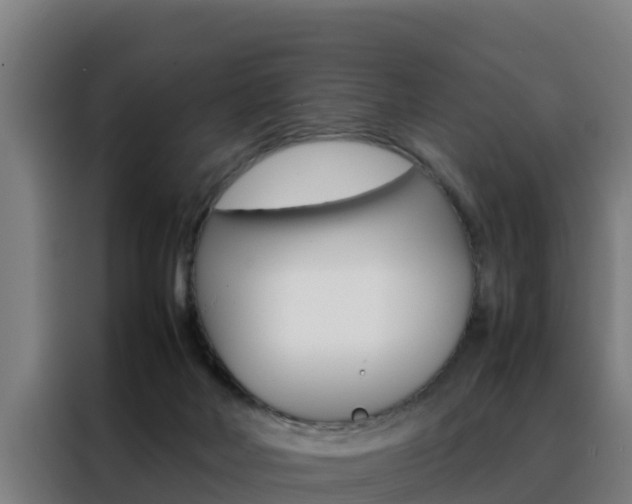X0000088480026200705221010