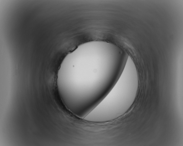 X0000088480029200705221010