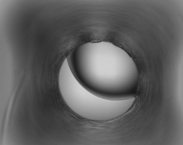 X0000088480033200705221010