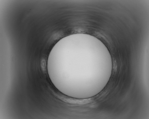 X0000088480036200705221010
