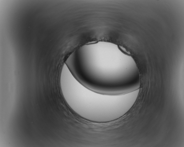 X0000088480039200705221010