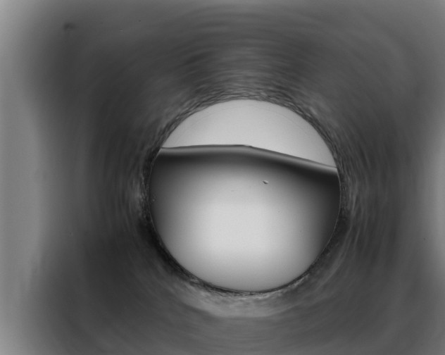 X0000088480040200705221010
