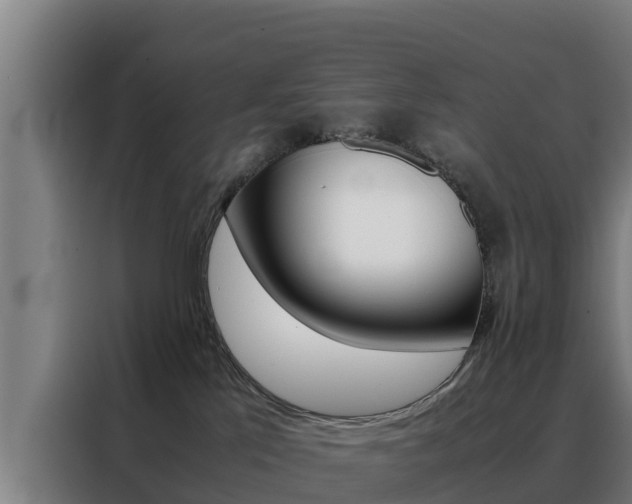 X0000088480041200705221010