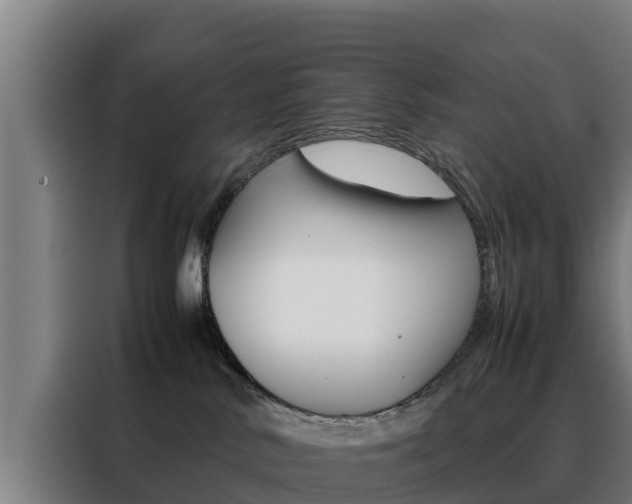 X0000088480042200705221010