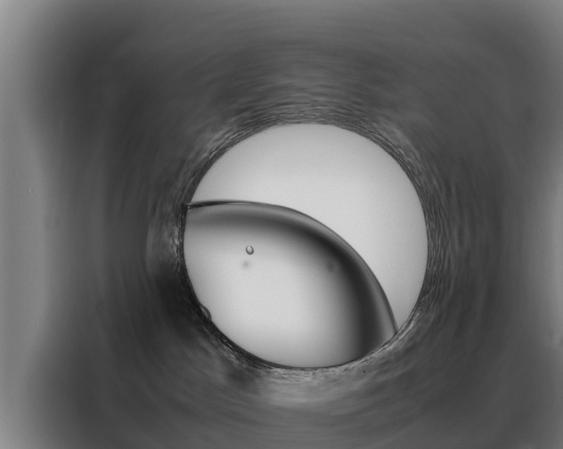 X0000088480045200705221010
