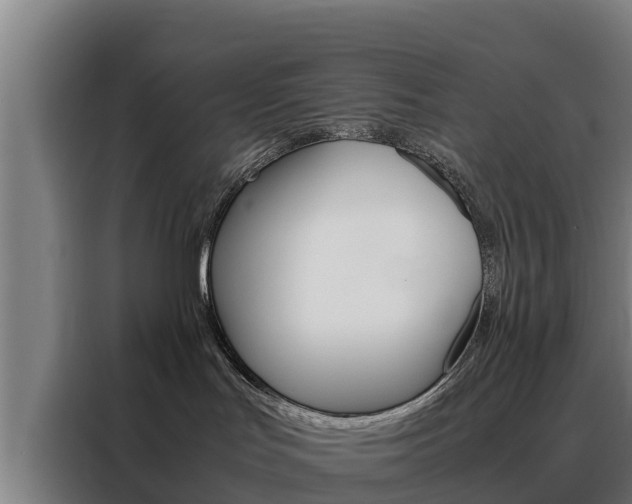 X0000088480047200705221010