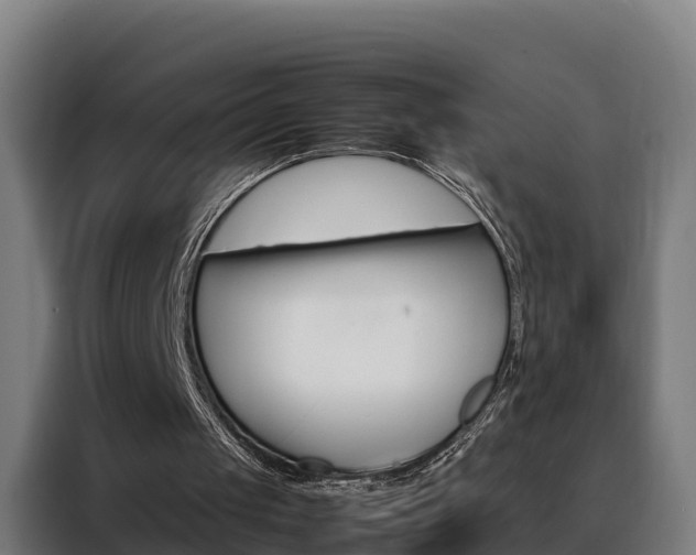 X0000088480049200705221009