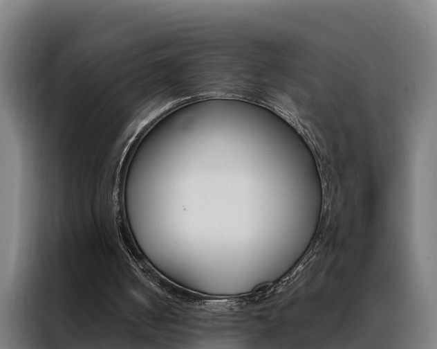 X0000088480050200705221009