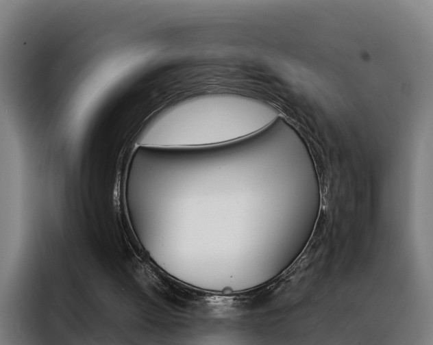 X0000088480052200705221009